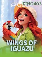 Wings Of Iguazu game cover